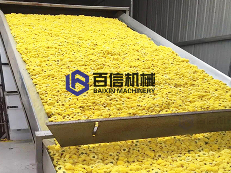 許昌菊花烘干機