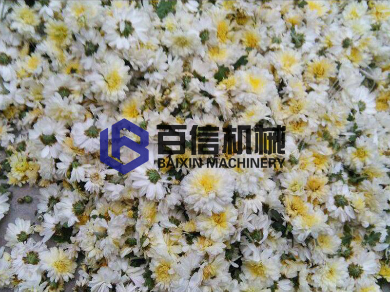 武平菊花烘干機(jī)